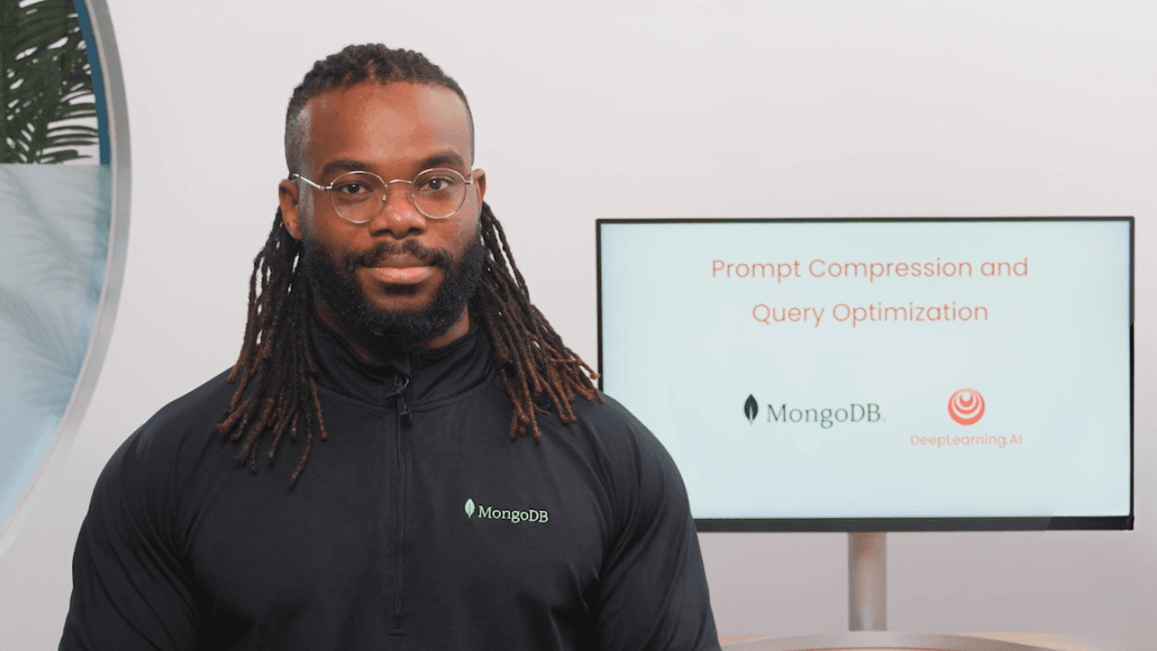 Prompt Compression and Query Optimization
